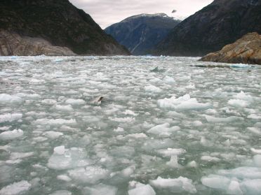 Nous avancons dans une veritable mer de glace !