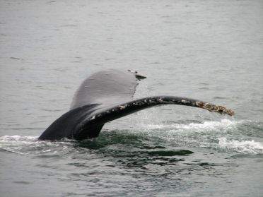 On dirait qu'elle danse pour nous !