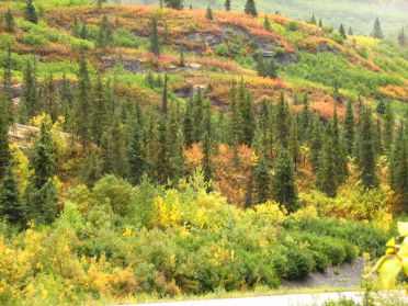 L'automne approche, les couleurs changent