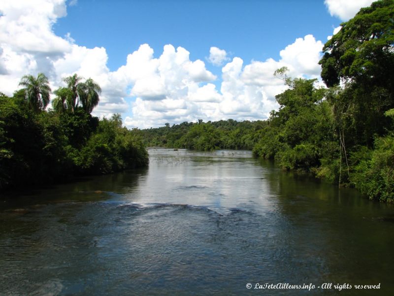 Le rio Iguazu, encore très calme avant les chutes, forme de nombreuses îles entre ses canaux