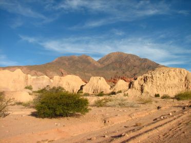 V&eacute;g&eacute;tation semi-aride de la quebrada de Cafayate