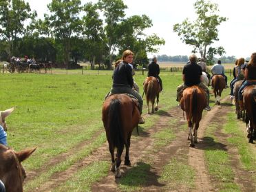 A la queue leu leu...