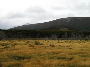 Paysages d&eacute;sol&eacute;s de la Terre de Feu.