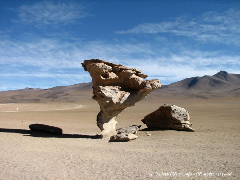 L'arbre de pierre, lieu magique du désert de Siloli