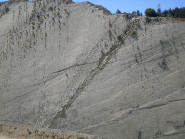 M&ecirc;me &agrave; l'oeil nu, on distingue tr&egrave;s bien les chemins pris par les dinosaures