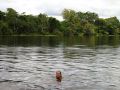Une petite baignade bien rafraichissante dans les eaux infestées de piranhas et des caimans de la rivière (ça on le saura plus tard !)