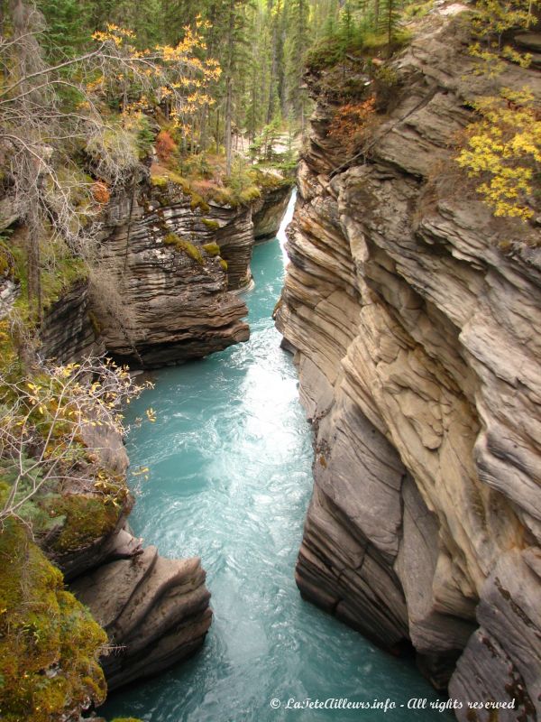 Le canyon creuse par la riviere Athabasca