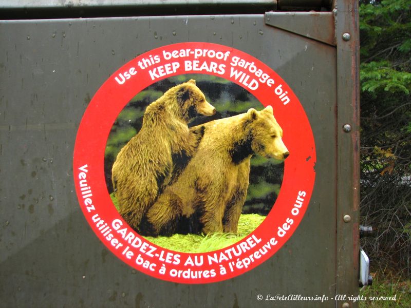 Attention aux ours !!!