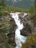 Les chutes Athabasca