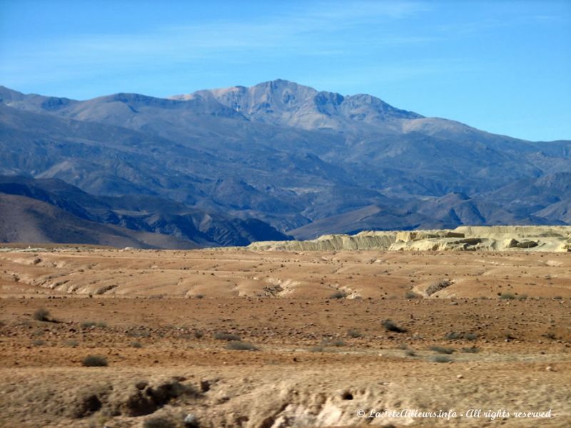 Paysages de l'Altiplano chilien, aux environs d'Arica