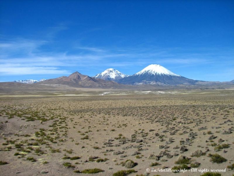 Paysages volcaniques de l'Altiplano chilien