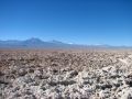 Le Salar d'Atacama, Ã  2300m d'altitude