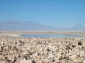 La lagune Chaxa du Salar d'Atacama