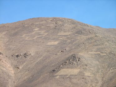 Les géoglyphes de Pintados datent de 1000 à 1400 ans après J.C.