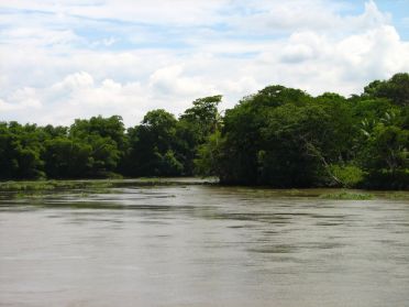 Les rives du R&iacute;o Sierpe