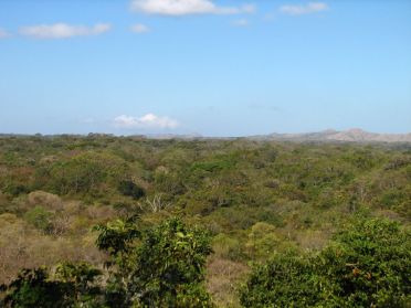 Le parc Santa Rosa et sa forêt tropicale sèche