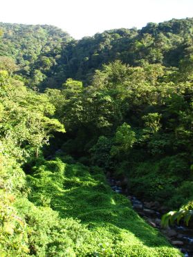 Pour trouver la cascade, il suffit de suivre la rivi&egrave;re (si si !)