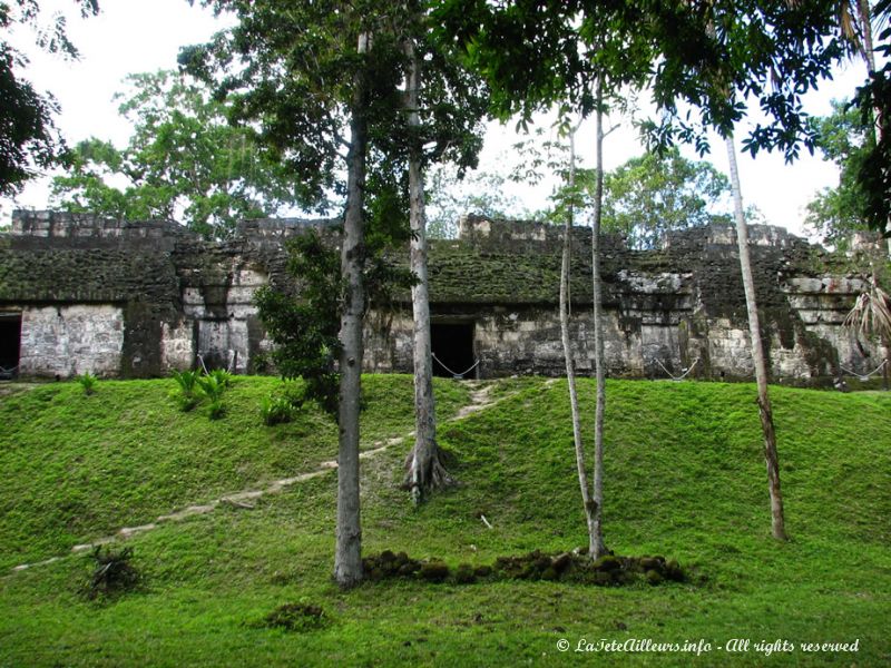 Le temple des Chauve-Souris, comme de nombreux édifices de Tikal, n'a toujours pas été fouillé
