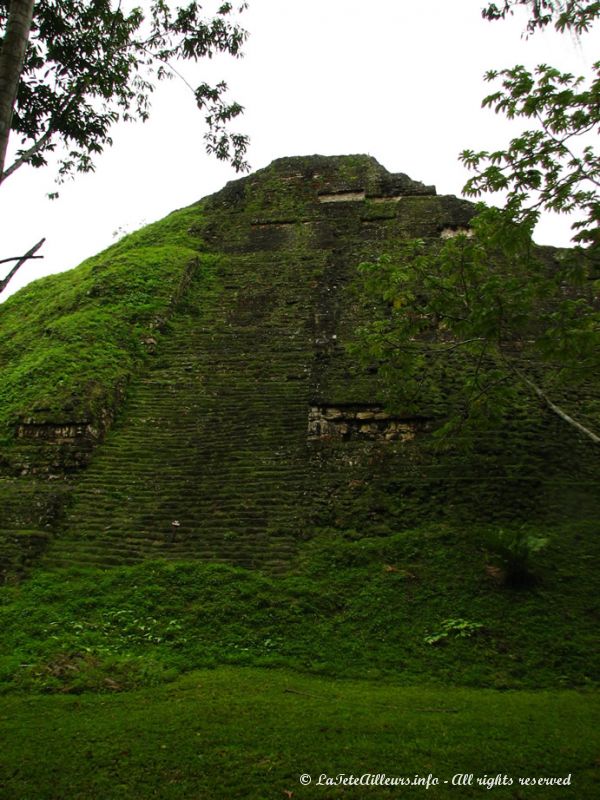 Faute de budget, de nombreux temples de Tikal n'ont toujours pas été dégagés