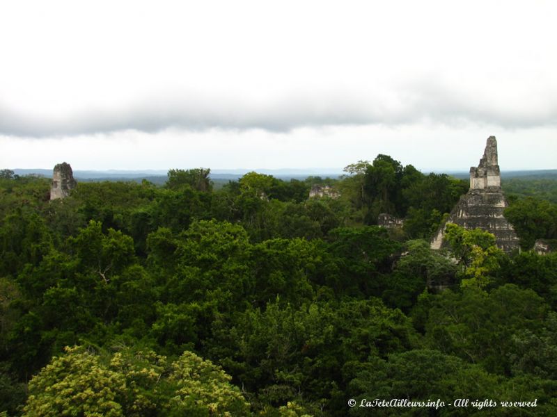 Tikal a vraiment tenu ses promesses !