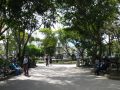 Le Parque Central d'Antigua