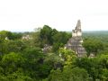 Le temple V nous permet l'une des plus belles vues de Tikal