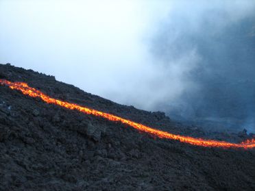 La couleur est flamboyante !