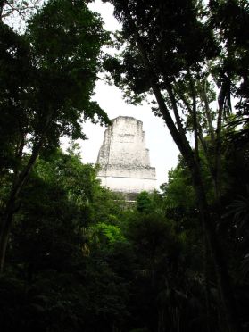 Le temple IV émerge de la jungle