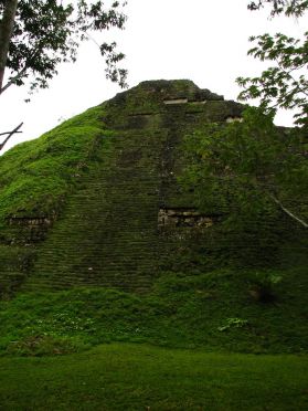 Faute de budget, de nombreux temples de Tikal n'ont toujours pas &eacute;t&eacute; d&eacute;gag&eacute;s