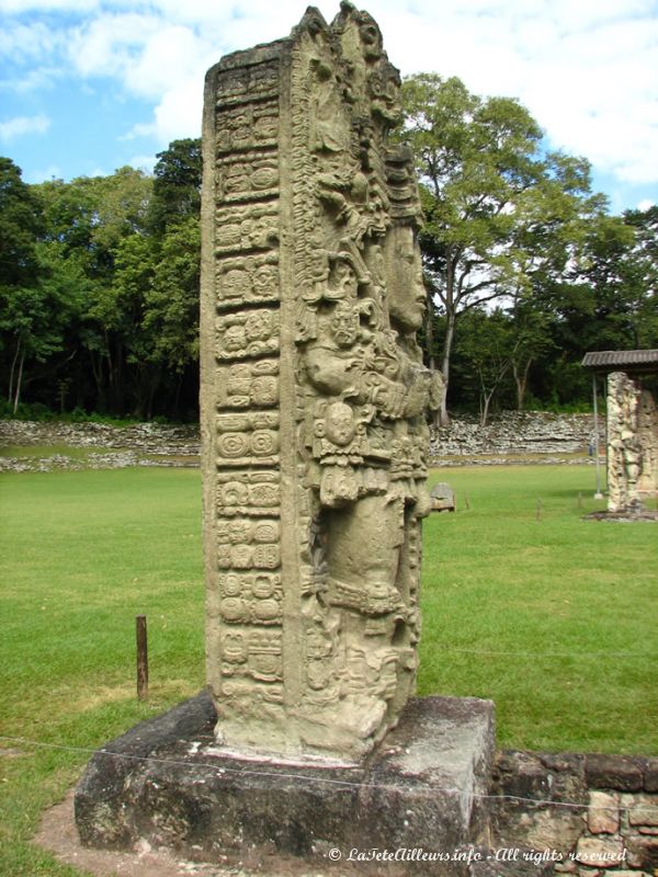 D'un côté, la figure du roi, de l'autre, des glyphes indiquant la date et l'occasion pour laquelle la stèle fut érigée