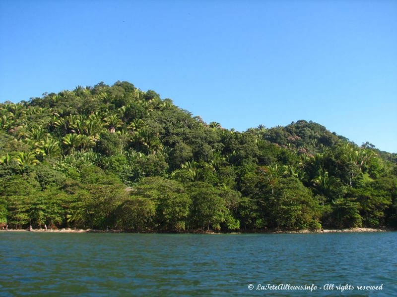 La jungle du parc national de Punta Sal
