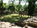 Le mal-nommé Cimetière était une zone résidentielle de Copán