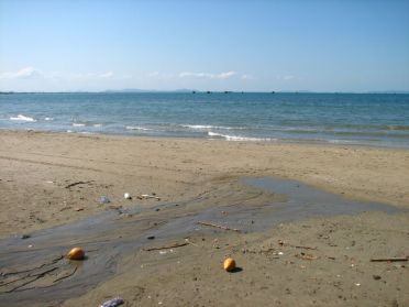 La plage est tr&egrave;s sale &agrave; certains endroits...
