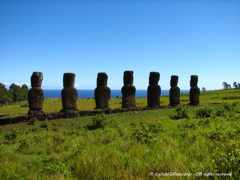 Les moai de l'ahu Akivi sont les seuls à faire face à la mer
