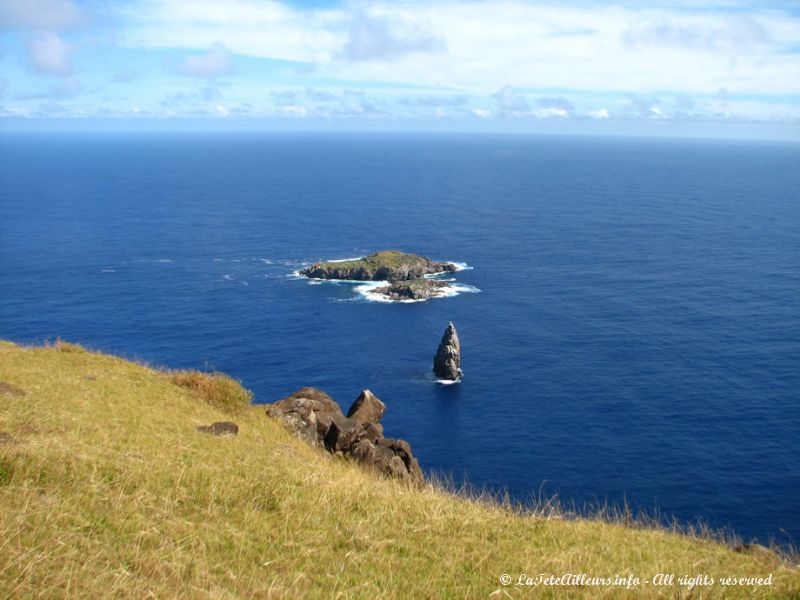Le premier homme qui ramenait à la nage un oeuf de l'île de Motu Nui était célébré homme-oiseau