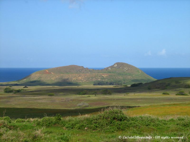 L'île de Pâques, ce n'est pas seulement des moai...