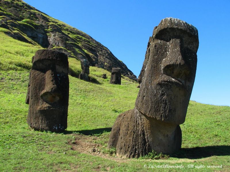 Chaque moai personnifiait un ancêtre