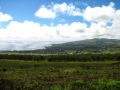 Vue sur l'île depuis le volcan Rano Kau