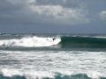 ... ce qui fait le bonheur des surfeurs locaux