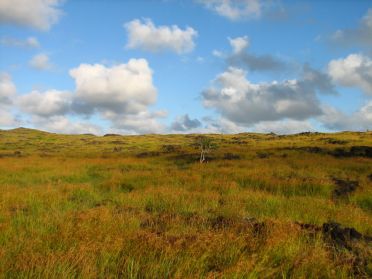 Paysages de la c&ocirc;te ouest...