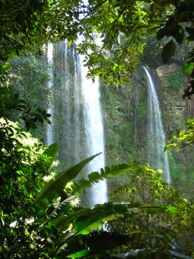 La vegetation tropicale est subime ici