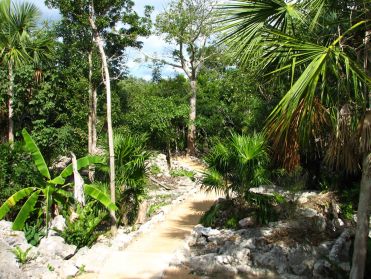 Nous approchons de la c&eacute;note Chac Mool, visit&eacute;e uniquement par les plongeurs