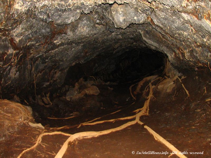 La lave en fusion a laissé des grottes de plusieurs kilomètres de long