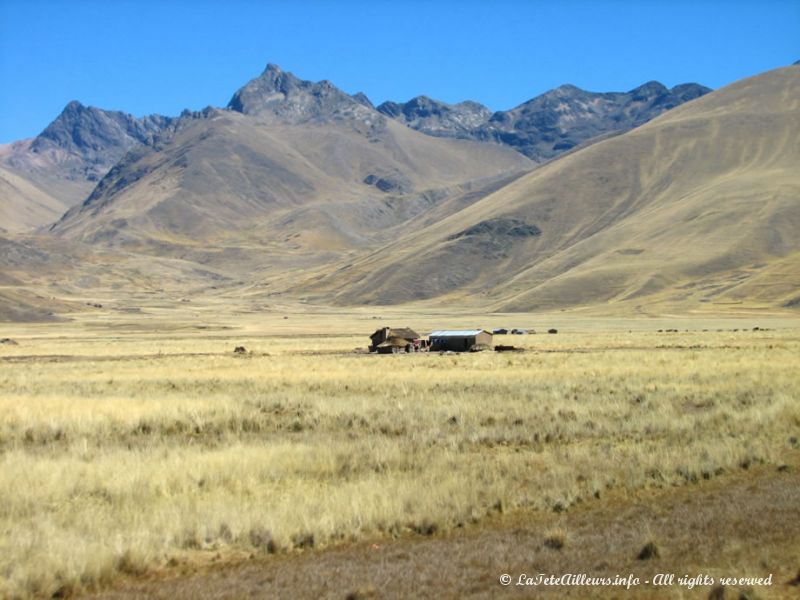 Maison isolée de l'Altiplano péruvien
