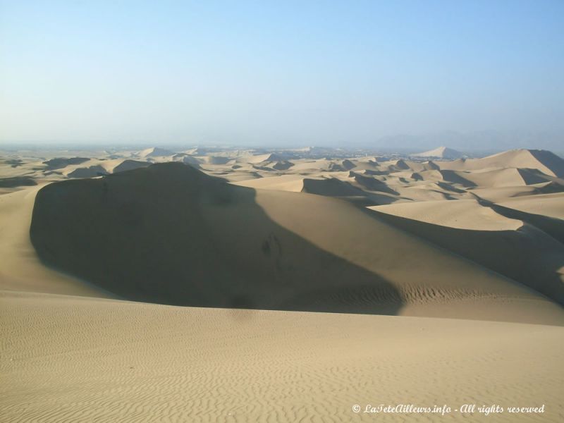 Immenses, les dunes s'étendent à perte de vue