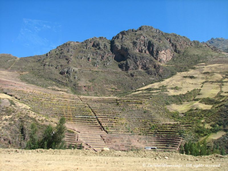 Les ruines de Pisac sont notamment réputées pour leurs superbes cultures incas en escalier