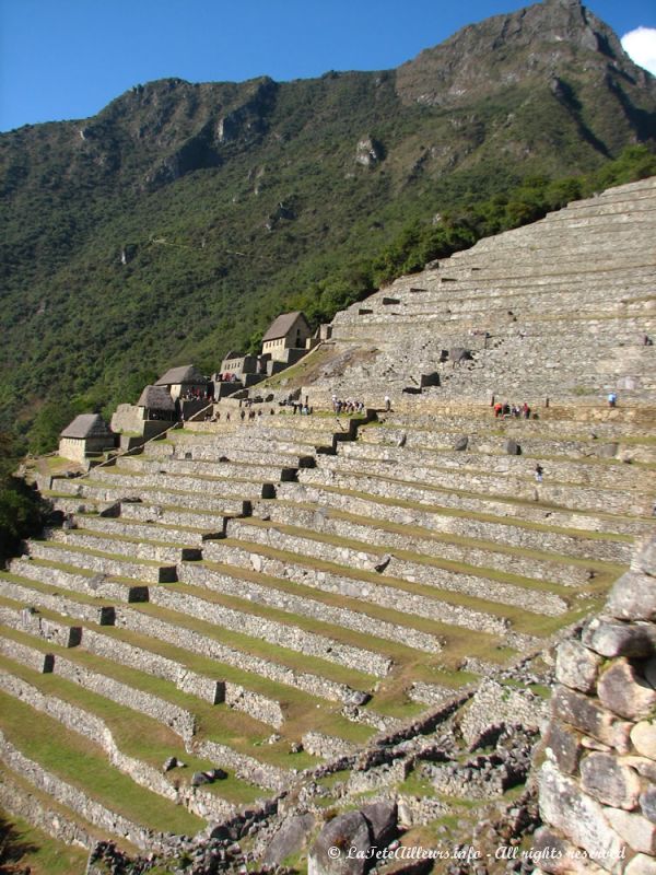 Les terrasses cultivées, typiques de la civilisation inca