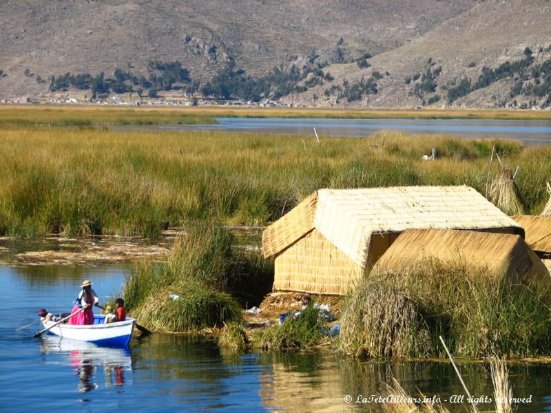 Vie quotidienne sur le lac Titicaca
