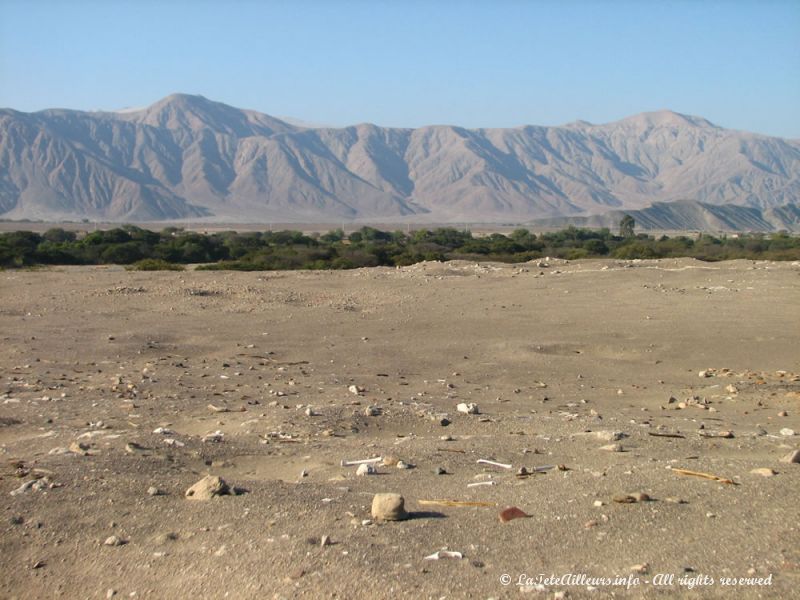 A Chauchilla, de nombreux ossements jonchent le sable du désert