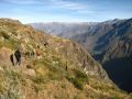 Marche au canyon de Colca